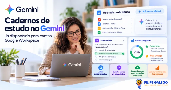 Gemini Study Notebooks